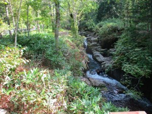 IMG_0207