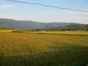 IMG_0216
