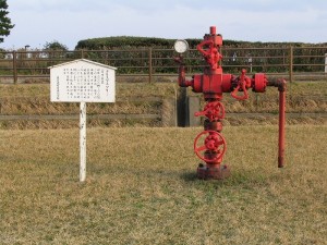 IMG_0387