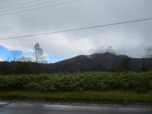 IMG_0445