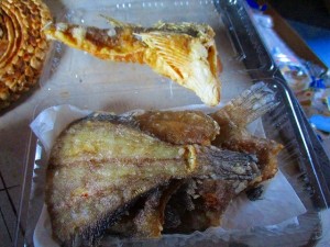 IMG_0497