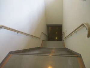 IMG_0533