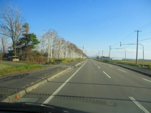 IMG_0541