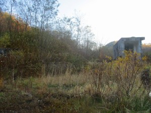 IMG_0543