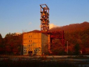 IMG_0550