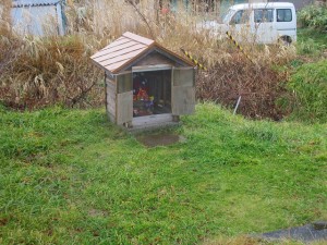 IMG_0659