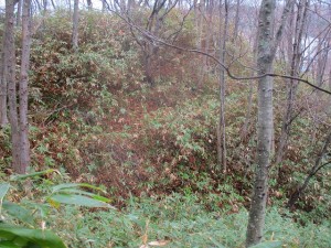 IMG_0665
