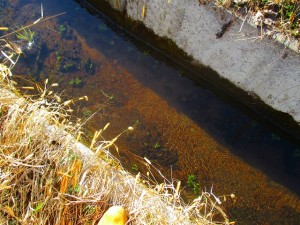 IMG_0672