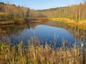 IMG_0681
