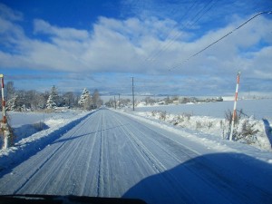 IMG_0731