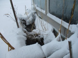IMG_0813