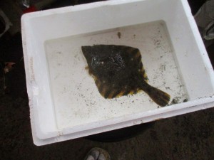 IMG_0828