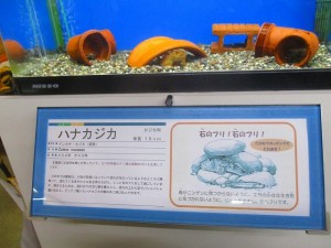 IMG_0845