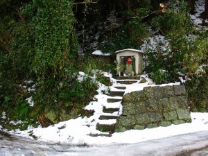 IMG_0951