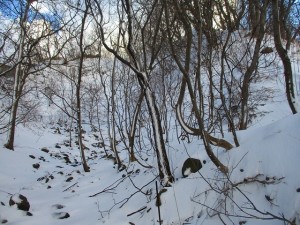 IMG_1035