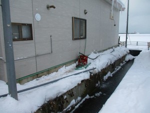 IMG_1038