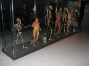 img_1177