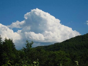 IMG_1263
