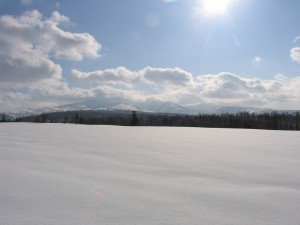 IMG_1450