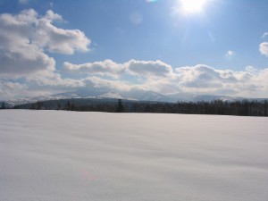 IMG_1450