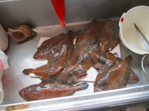 IMG_1450