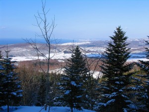 IMG_1453
