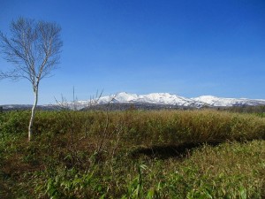 IMG_1560