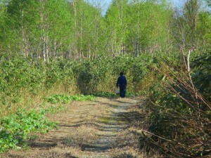 IMG_1568