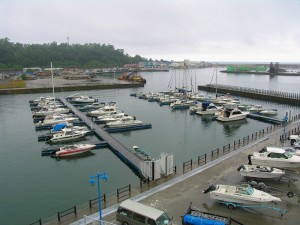 IMG_1708