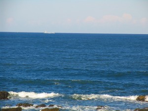 IMG_1782