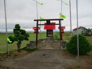 IMG_1946