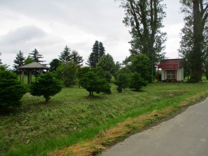 IMG_1948