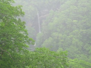 IMG_1994