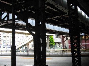 IMG_2113
