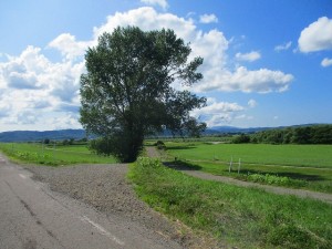 IMG_2161