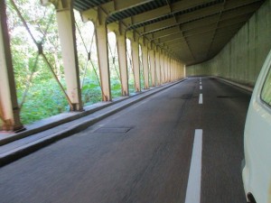 img_2446
