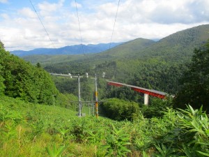 img_2447