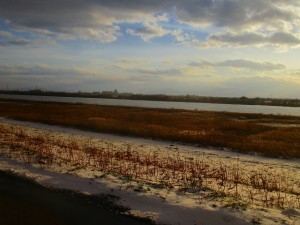 img_2717