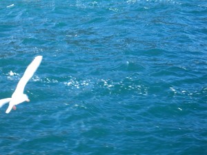 IMG_2918