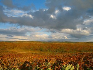IMG_4494